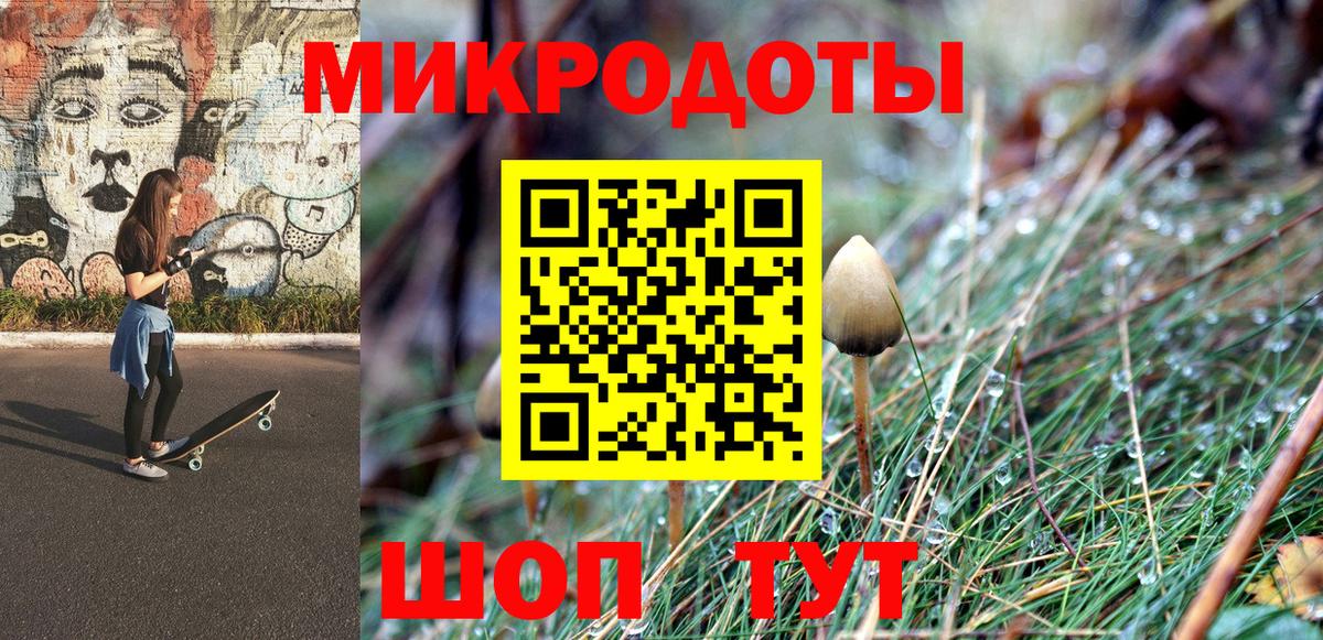 Галлюциногенные грибы Psilocybe  Вход с VPN  как найти наркотики  Галлюциногенные грибы Cubensis  Кизляр 